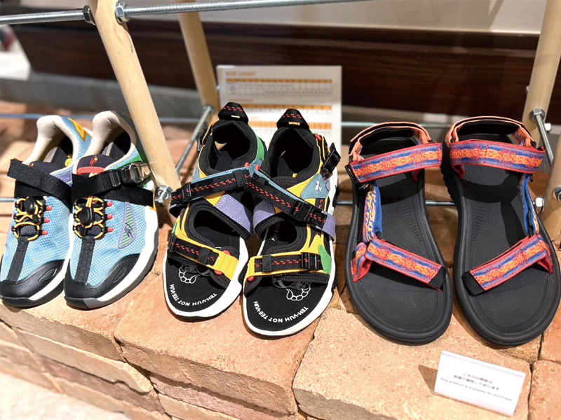 Teva3